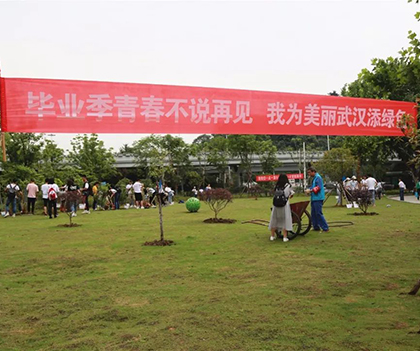 1528893228508721.jpg 01.jpg