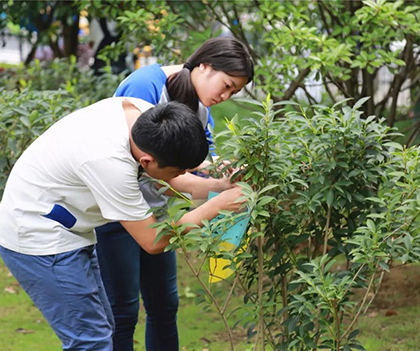 1528893241311937.jpg 02.jpg