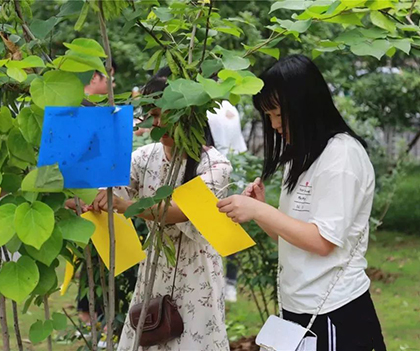 1528893255610276.jpg 04.jpg