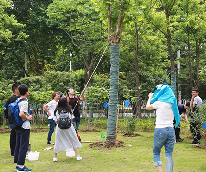 1528893265528473.jpg 05.jpg