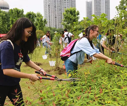 1528893316189899.jpg 06.jpg