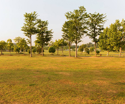 1528895078132778.jpg 01.jpg