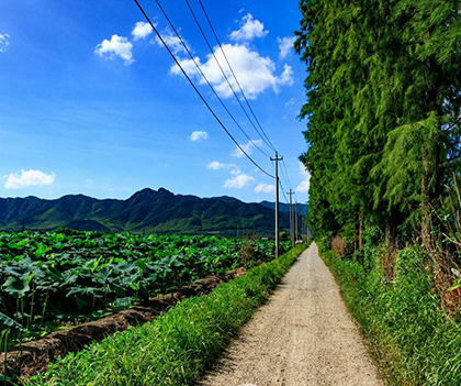 1529999774880903.jpg 01.jpg