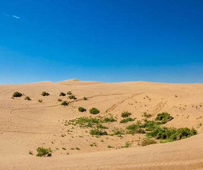 1529999852821993.jpg 01.jpg