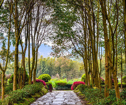 1530000049959135.jpg 01.jpg