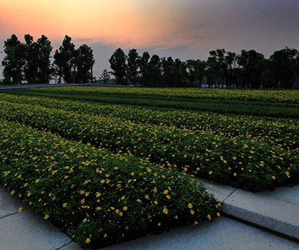 1530796064129017.jpg 1f86b51dda597ef1dad73ef0631c72d9.jpg