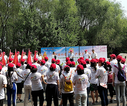 1530797946118066.jpg 04.jpg