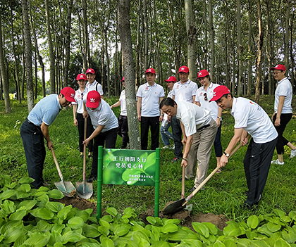 1530798088716048.jpg 07.jpg