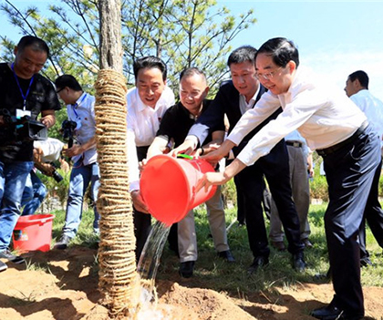 1530798605105113.jpg 0000.jpg