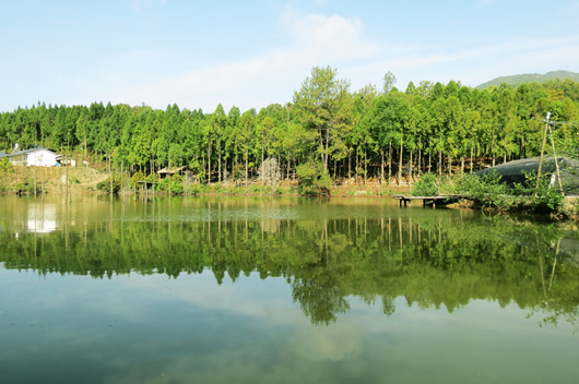 1531979757626973.jpg LOCAL201807171516000178210900566.jpg