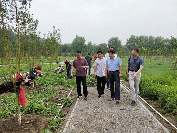 1531981471680504.png image001.png