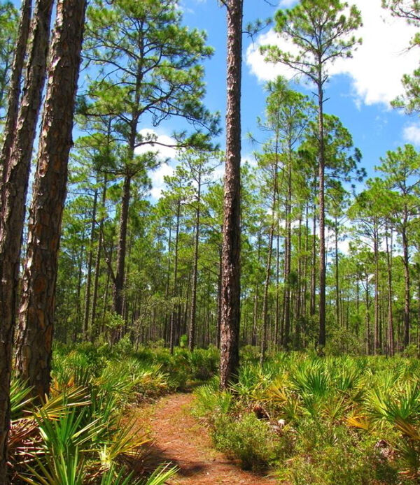 1532421356828576.jpg WX20180720-100722@2x.jpg