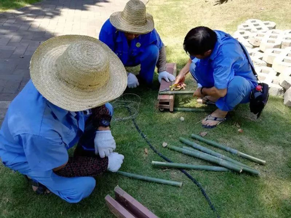 1532422565202249.jpg 4.jpg