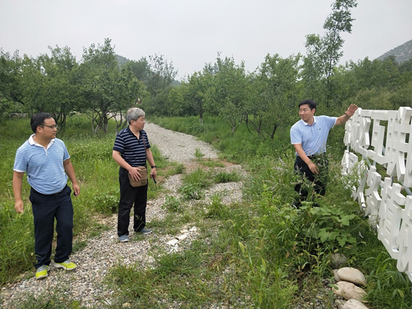 1532422855705118.jpg image001.jpg