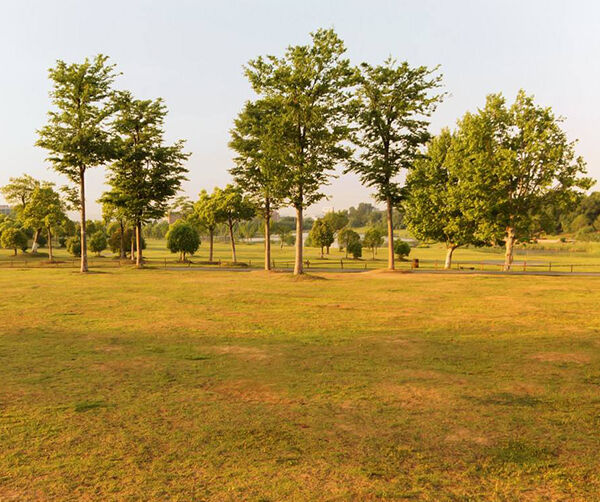 1533546948462978.jpg 01.jpg