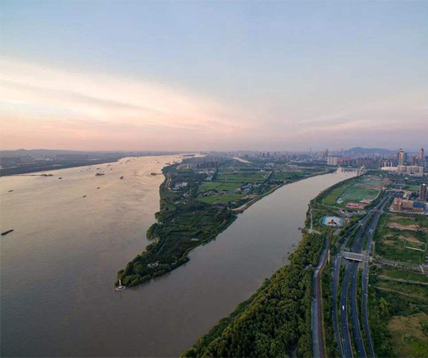 1533547081113973.jpg 01.jpg