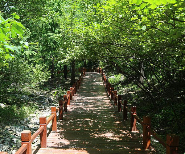 1533548717962018.jpg 01.jpg