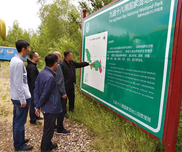 1533548893126225.jpg 01.jpg