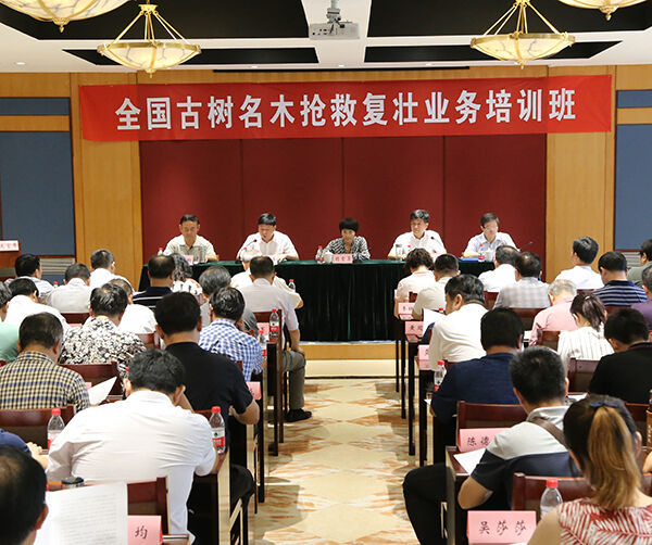 1533549063789633.jpg 000.jpg