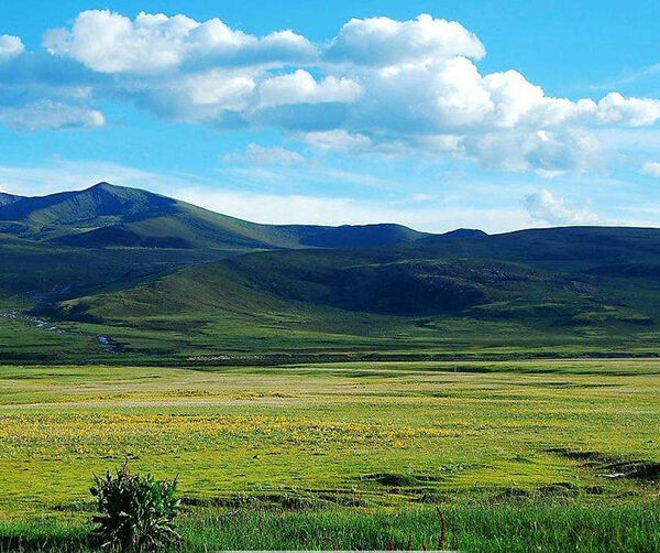 1535540898455577.jpg 01.jpg