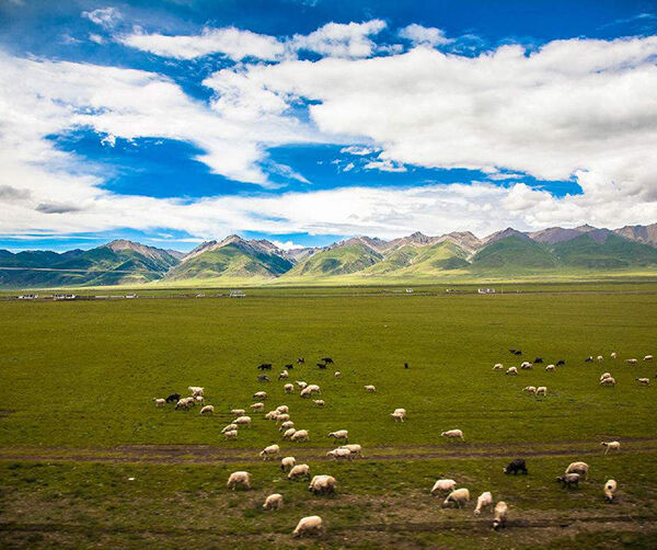 1535540936395806.jpg 02.jpg