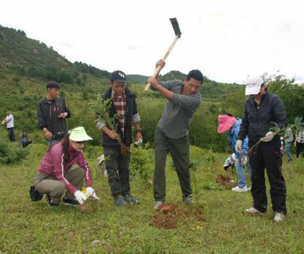 1535541004329967.jpg 01.jpg