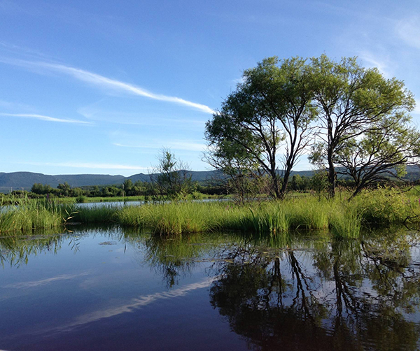 1535541546729991.jpeg 9a1cb7aee66cf1cbc4b507a79fd18195.jpeg