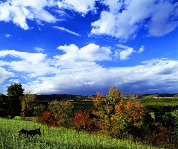 1535541757691692.jpg 545f4cdab41ac4e19710a281ae0d38eb.jpg