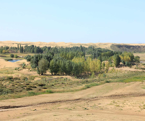 1535542209988784.jpg 02.jpg