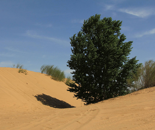 1535542241229961.jpg a812c3a61dcaea8ba4756f13720a57e4.jpg