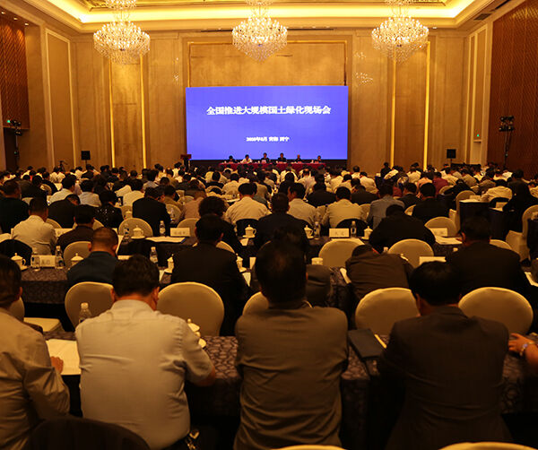 1535542802929486.jpg 01.jpg