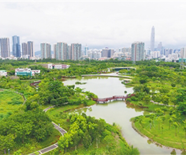 1536564037119056.jpg 01.jpg