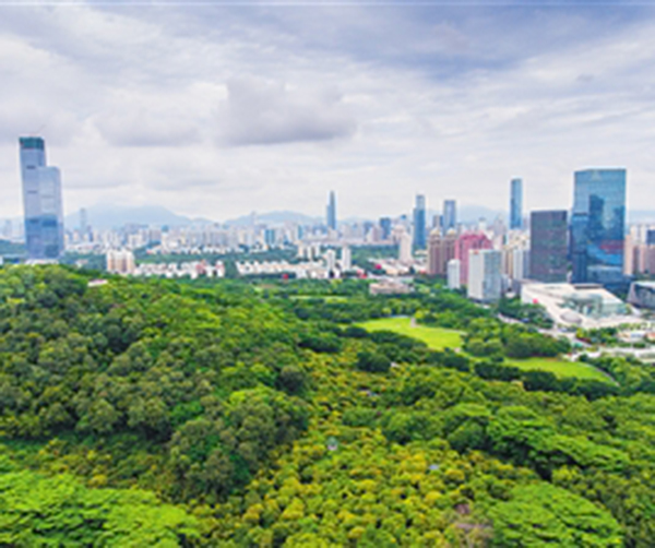 1536564097430231.jpg 02.jpg