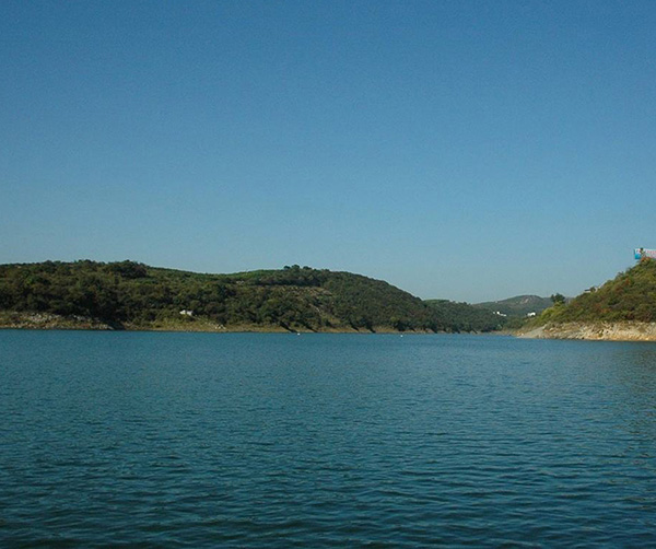 1536564544625122.jpg 01.jpg