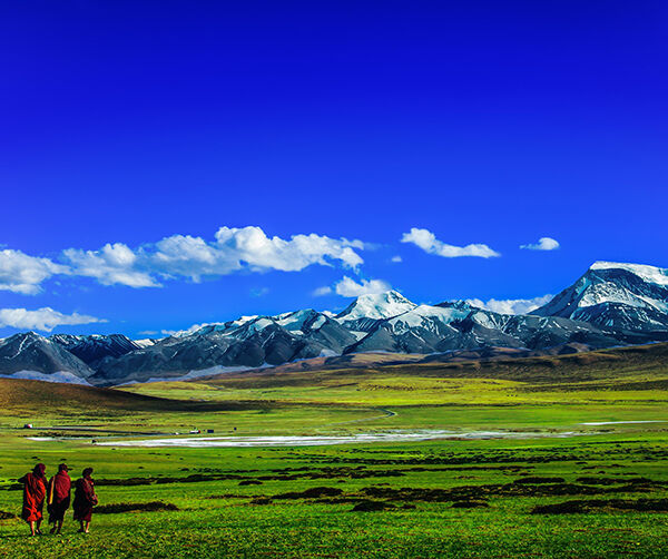 1539185026414826.jpg 6db2bf2c0b18f85c52faa381716b4d46.jpg