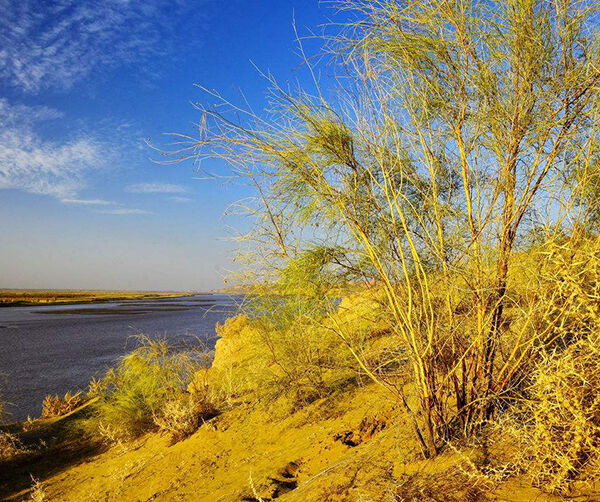 1539185186822724.jpg 6e3fc92e322a77434c315f09dd8b38b3.jpg