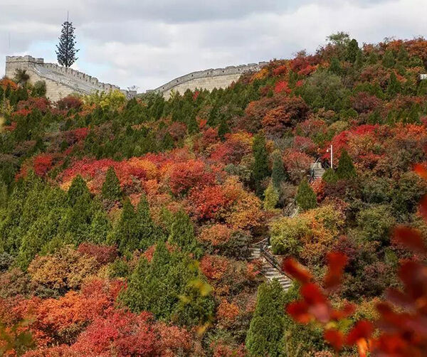 1539789044149922.jpg 01.jpg