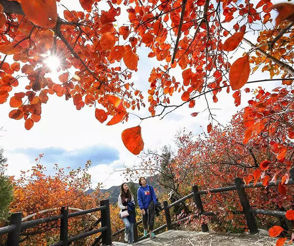 1539789064736747.jpg 02.jpg