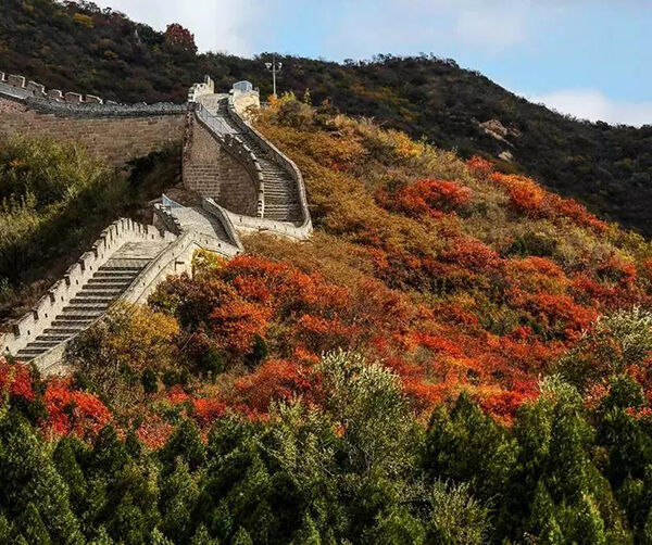 1539789116117653.jpg 04.jpg