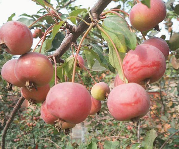 1539789535123630.jpg 02.jpg