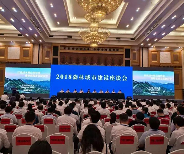 1539790076418570.jpg 01.jpg