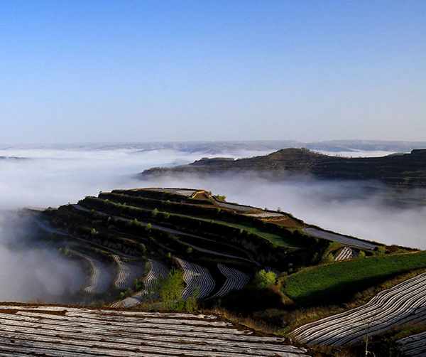 1540486051766180.jpg 01.jpg