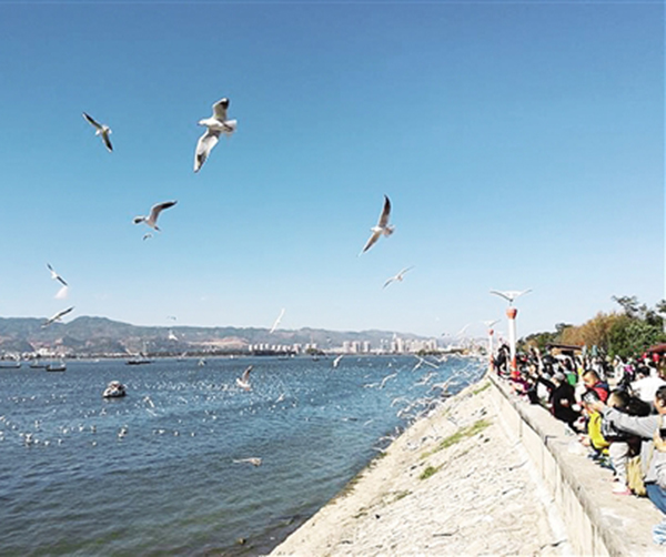 1540486997100608.jpg 01.jpg