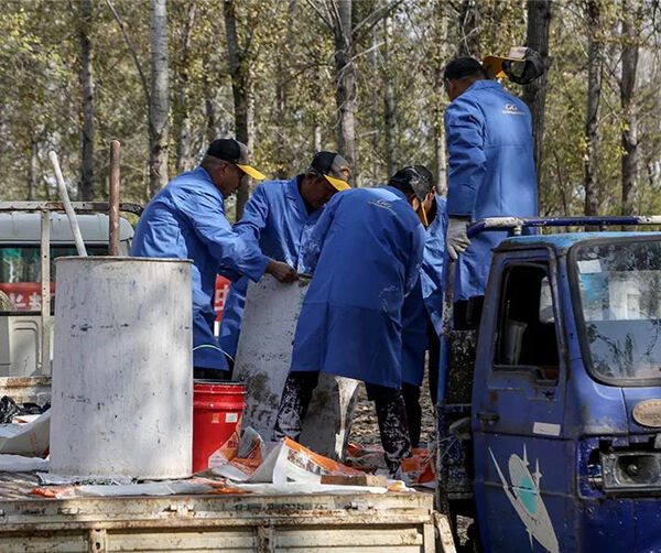 1540487490686356.jpg 01.jpg