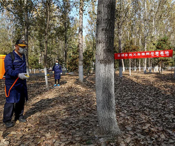 1540487509116882.jpg 02.jpg