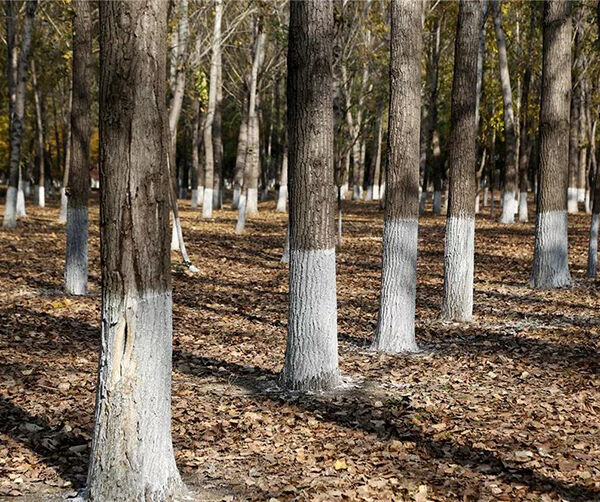 1540487519112252.jpg 03.jpg