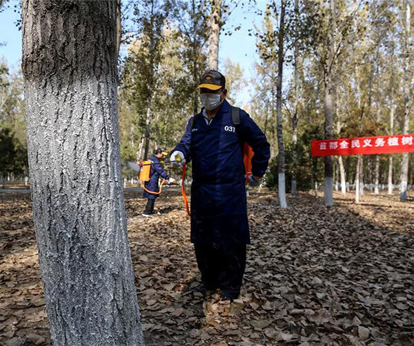 1540487529209177.jpg 04.jpg