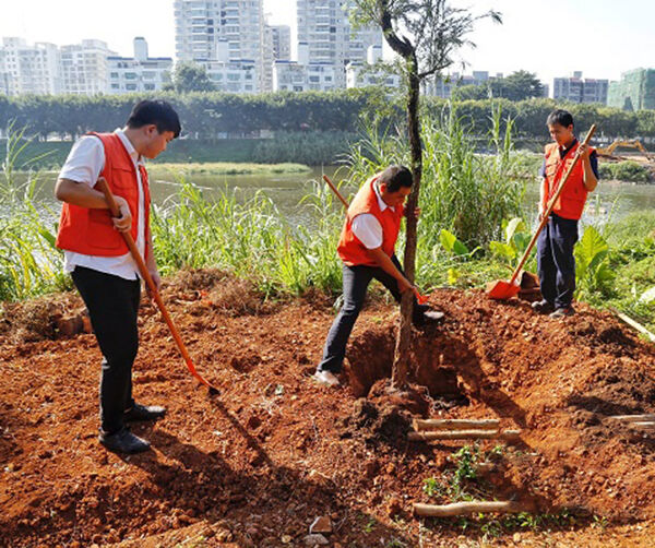 1541430754471241.jpg 01.jpg