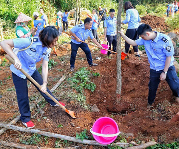 1541430766185596.jpg 02.jpg