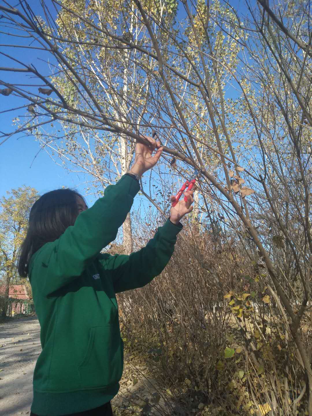 1541431000577400.jpg 图片2.jpg